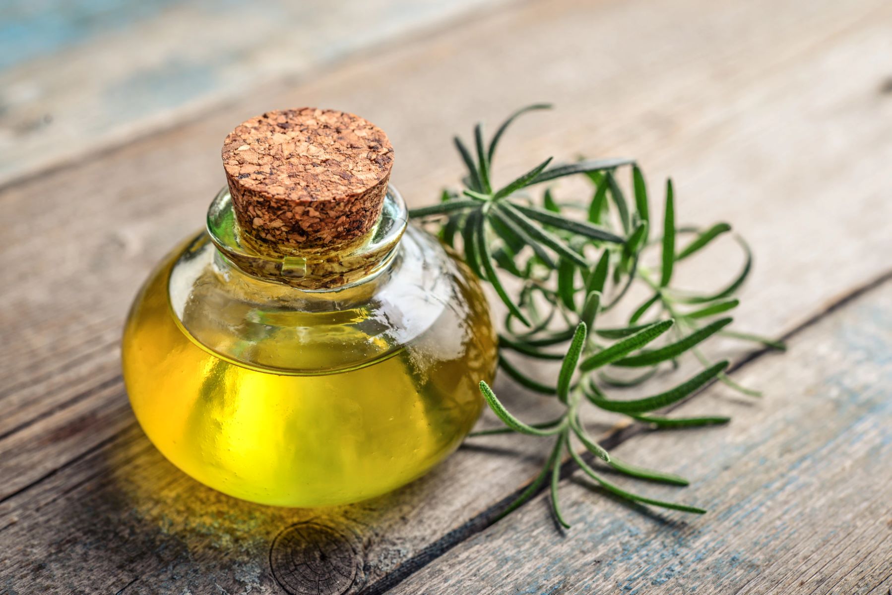 Rosemary oil for hair growth