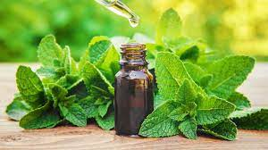 peppermint oil