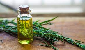 Rosemary oil promotes hair growth