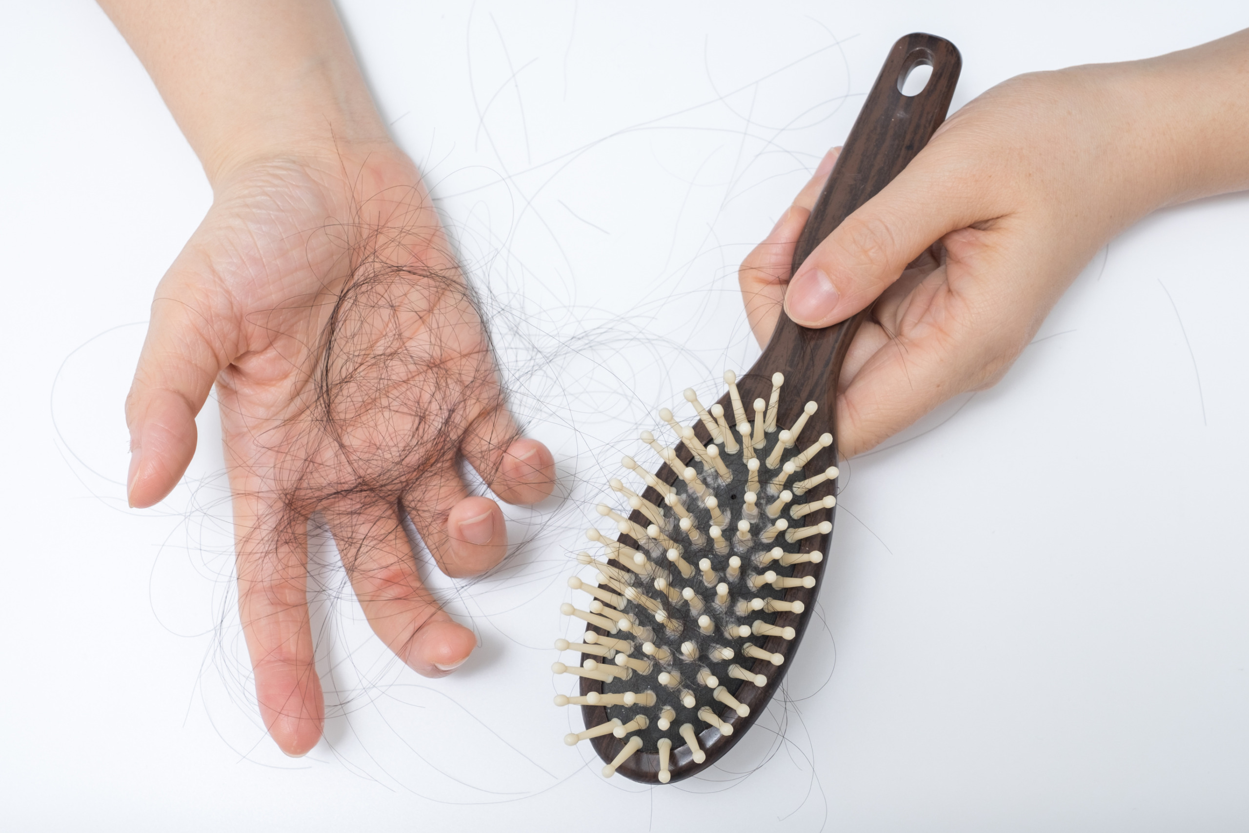 shedded hair from hair brushing