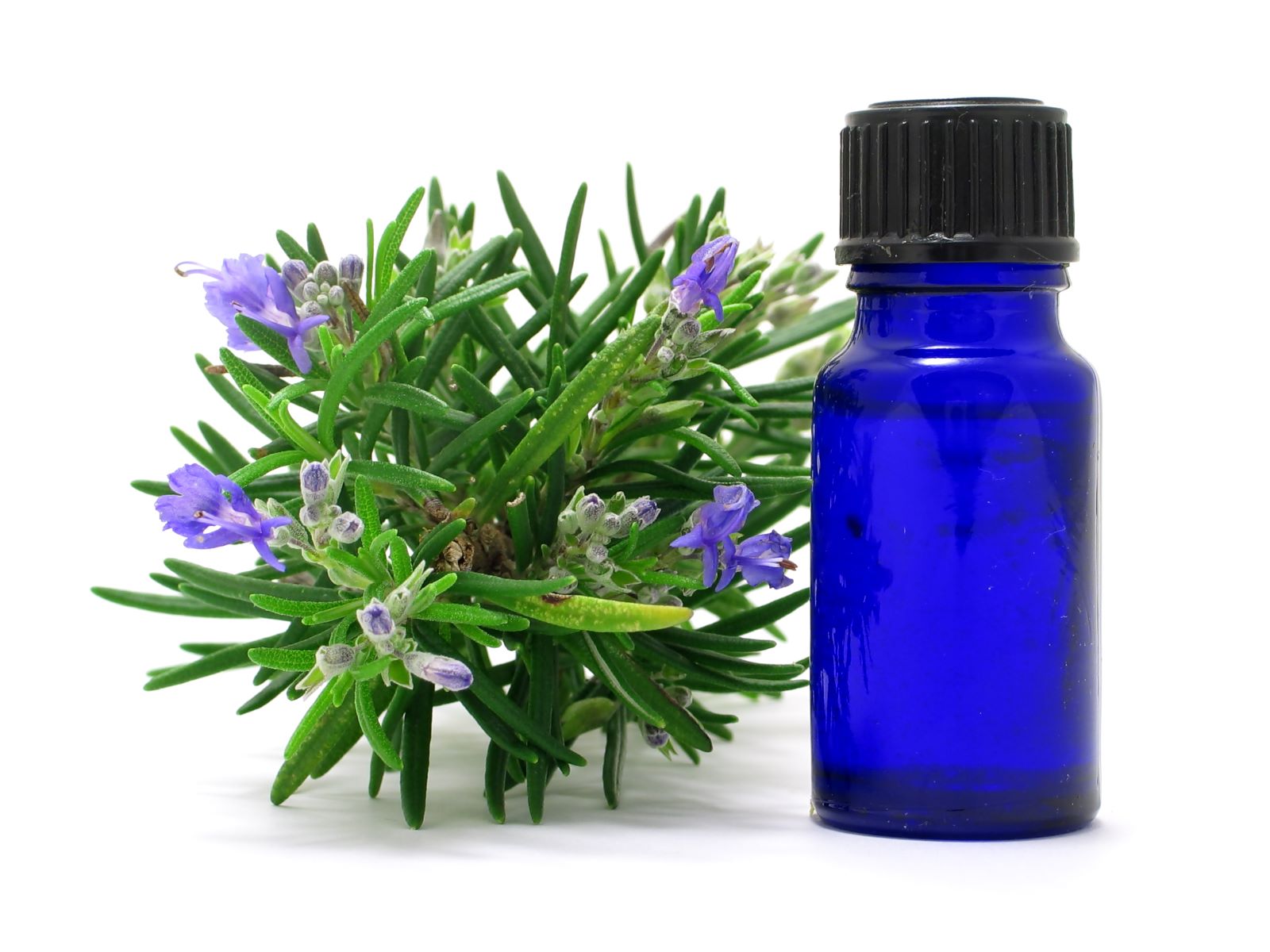 Rosemary oil