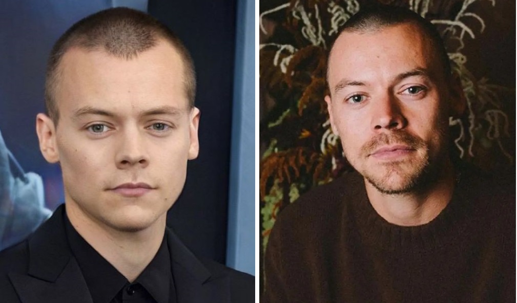 Harry Styles’ buzz cut (2023)