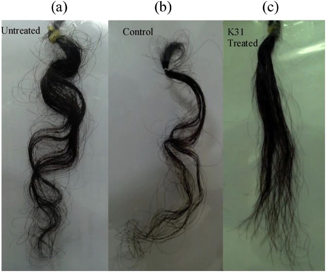 Untreated hair (a) vs placebo (b) and keratin treatment