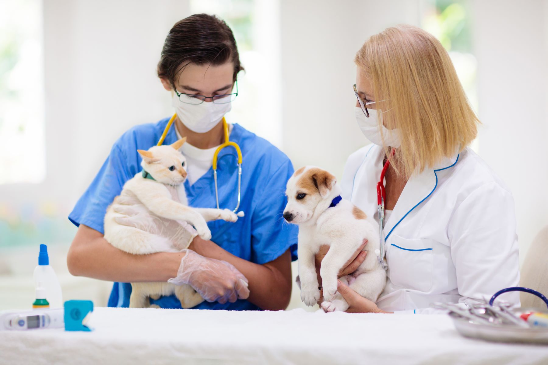 Cat and dog taken to the vet after Minoxidil exposure