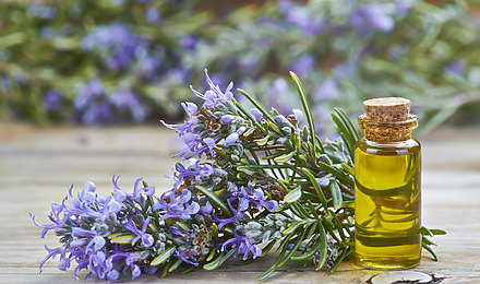 Best Rosemary Oil For Hair Growth