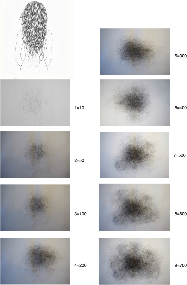 Hair shedding score and equivalent hair loss in women with long hair.