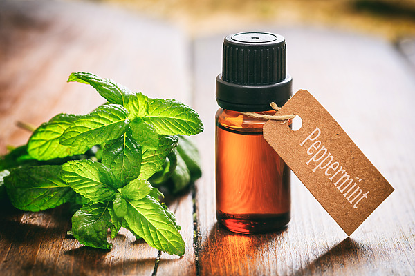 Peppermint oil