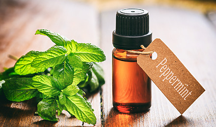 Peppermint Oil