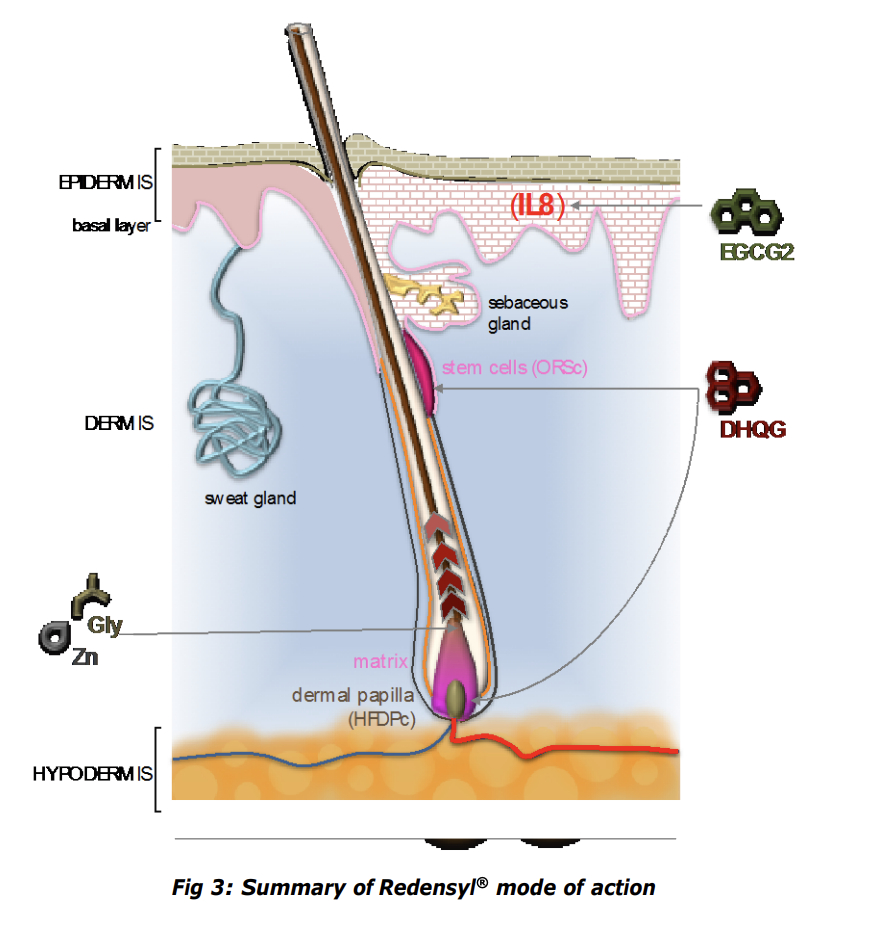 Redensyl informational graphic