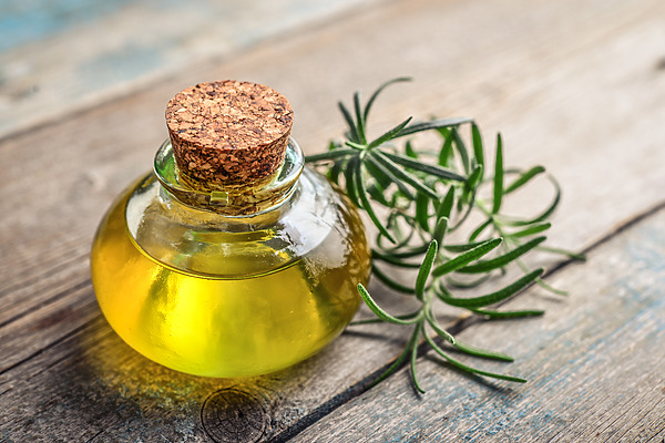 Rosemary Oil for Hair Growth: Benefits, Uses, and Side Effects