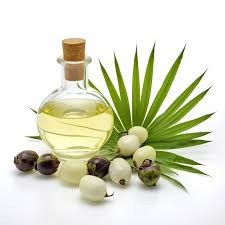 Saw palmetto oil