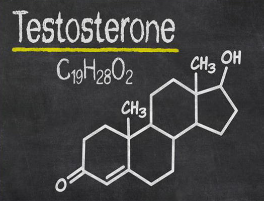 Does Low Testosterone Cause Hair Loss? Signs, Symptoms And Treatment