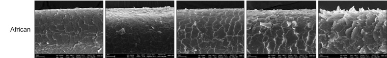 UVB radiation damage on Afro hair