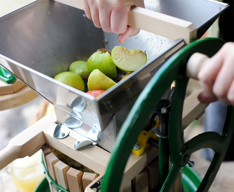 apples being run through a press