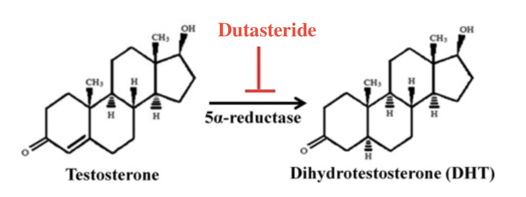 chemical structure of testosterone and DHT