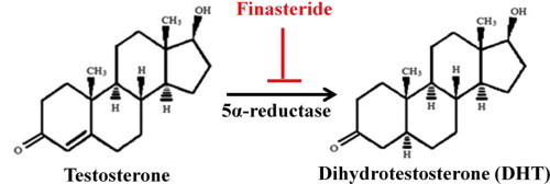 finasteride chemical structure