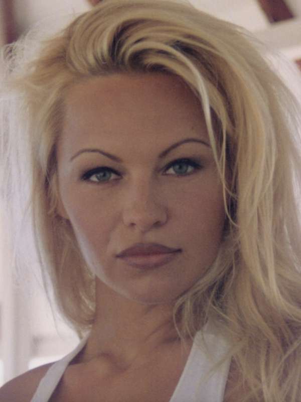 pamela anderson thin eyebrows 1