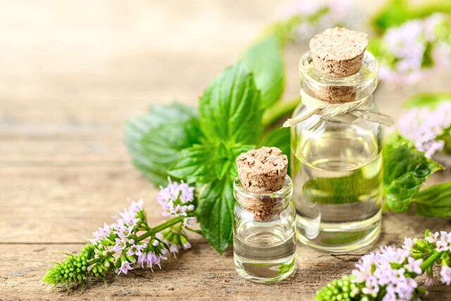 peppermint oil