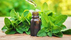 peppermint oil