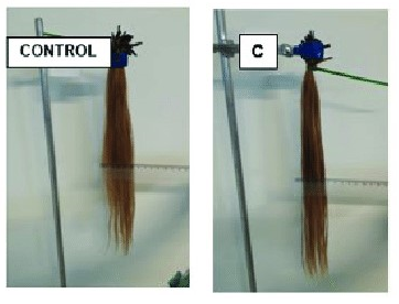 results of using coconut oil on damaged hair