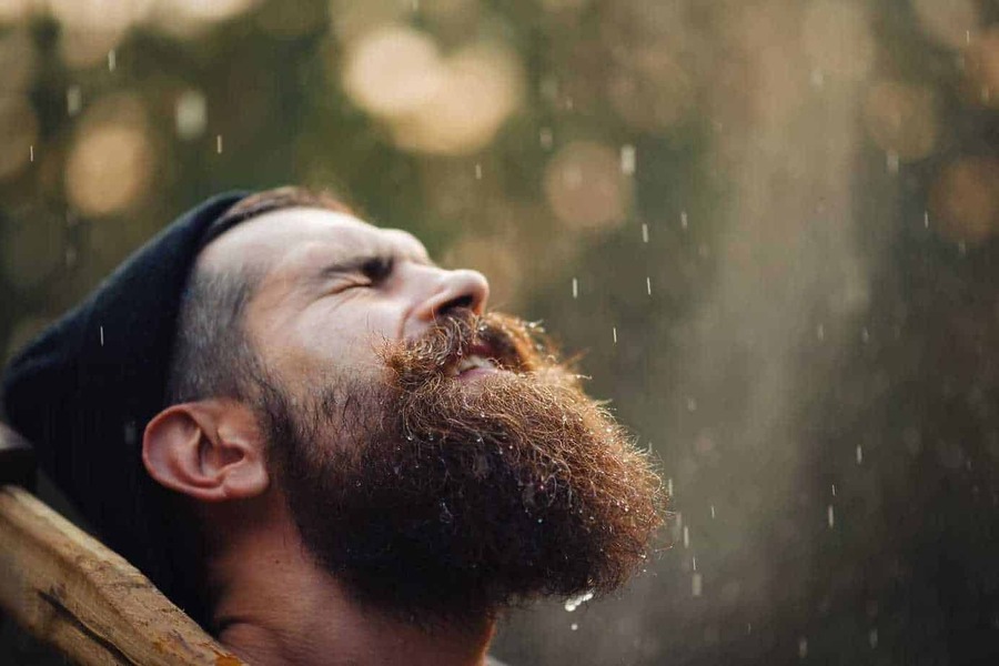 What Your Beard Says About You